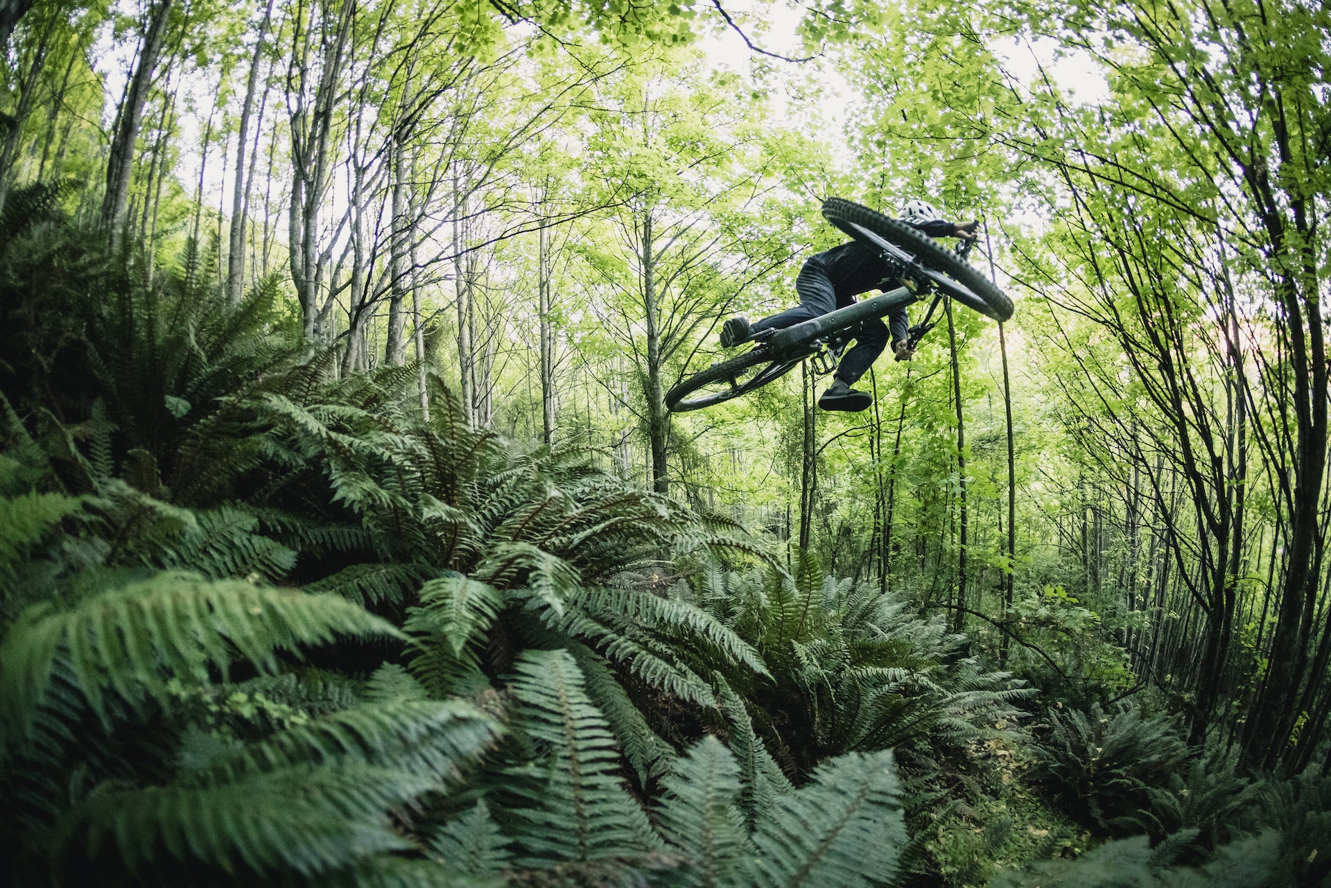 Downhill