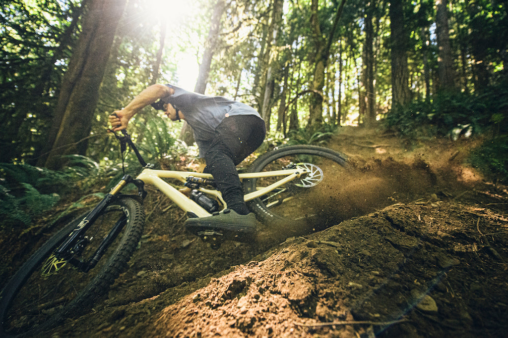 SPECIALIZED