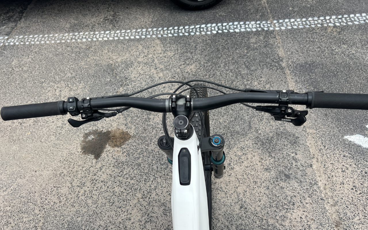 2019 Turbo Levo Comp