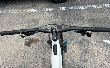 2019 Turbo Levo Comp