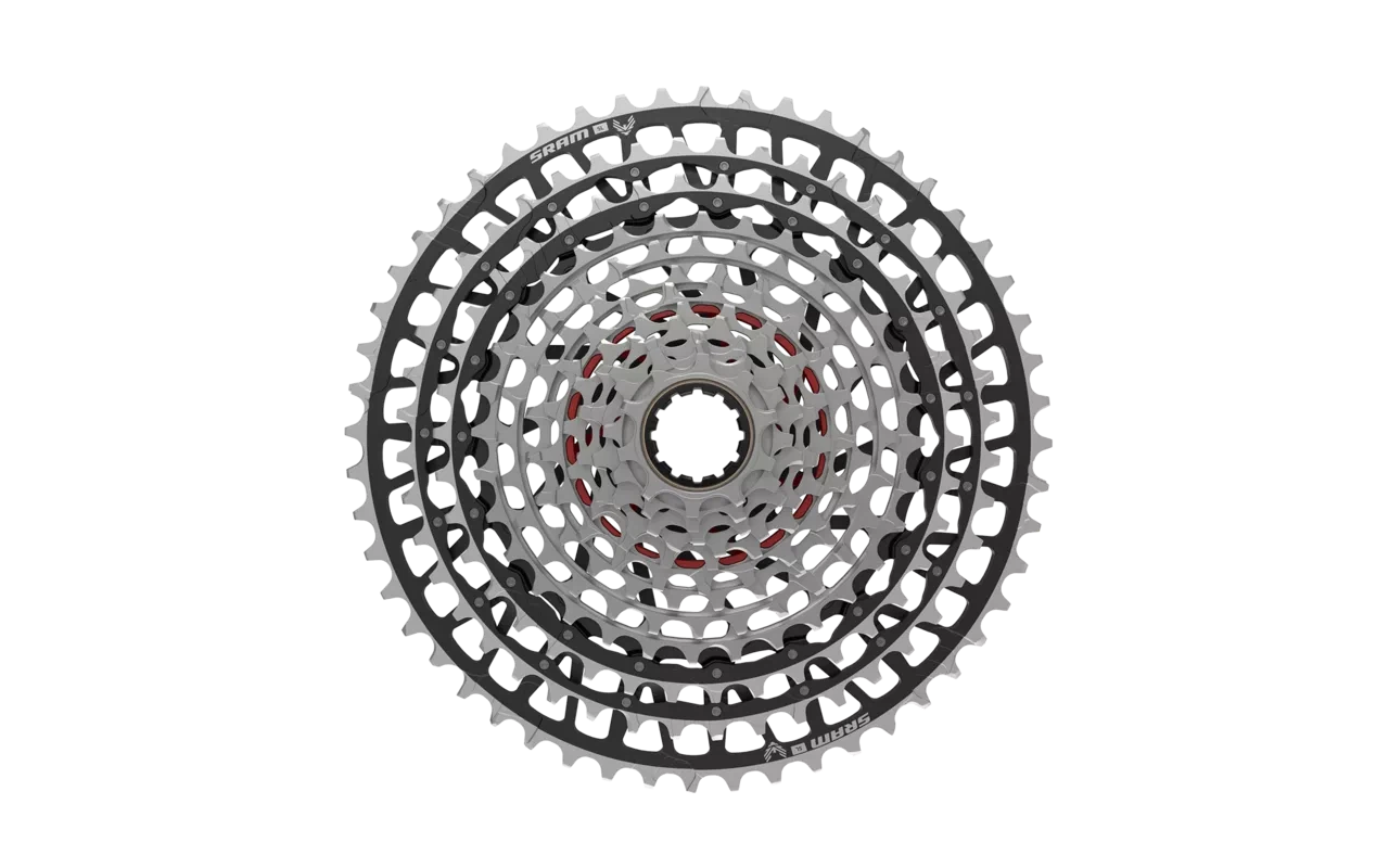 cassette specialized